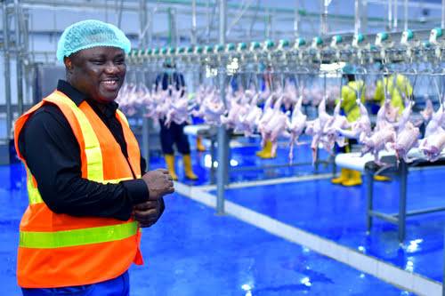 Cross River soon to become net supplier of processed chicken in Nigeria – Ayade