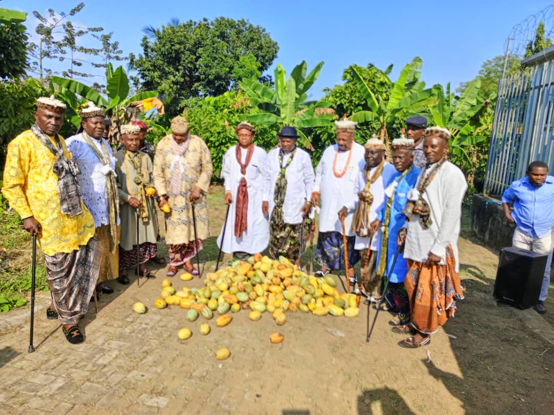 Governor Ben Distributes New-Improved Cocoa Pods To Farmers